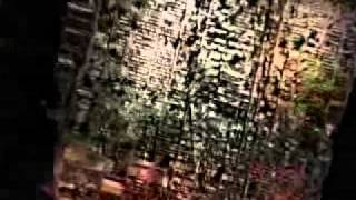 Friend Of Mine - Metafour