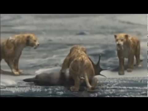 Mammoth:Titan of the Ice Age - Smilodon Fatalis Attacking Megaloceros Giganteus