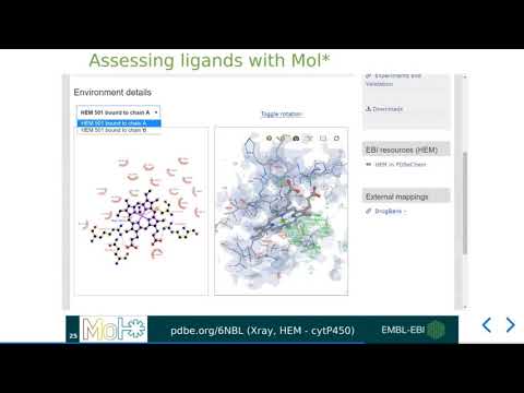 Mol* at PDBe - Viewing ligand binding sites