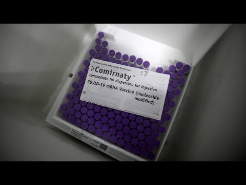 Green light for family doctors: No more special storage for Biontech vaccine