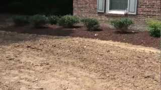 preview picture of video 'Professional Landscaping Project in Graham, NC Part 2 (Complete)'