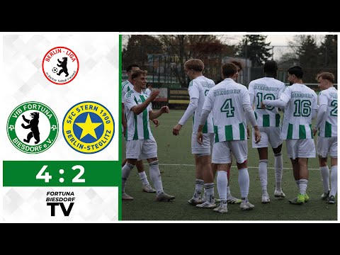 11. Spieltag // 2025-2026 // Berlin-Liga - SFC Stern 1900