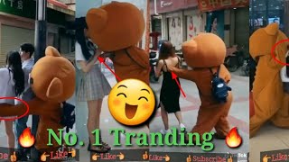 TikTok Teddy Bear|Tik Tok teddy bear funny video|Teddy Bear TikTok Viral Video | New Tik Tok teddy |