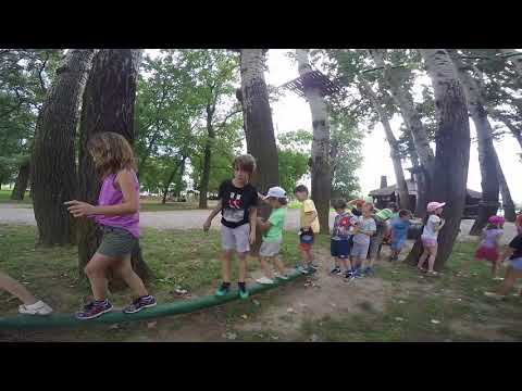 Poligon spretnosti u šumi ostrva