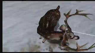 Cabela's North American Adventures - Big Trophy Tournament: Axis Deer Stage 5