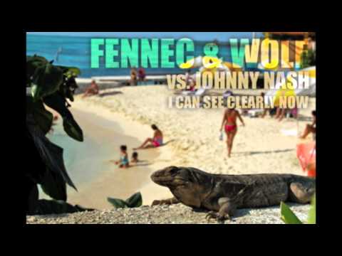 Fennec & wolf vs. Johnny Nash - I Can See Clearly Now