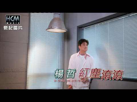 楊哲 - 紅塵滾滾 (官方完整版MV) 