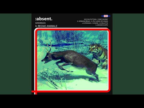 download lagu mp3 mp4 Absent La Speranza, download mp3 Absent La Speranza free download, download mp3 Absent La Speranza