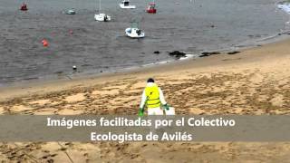 preview picture of video 'Nuevo vertido de galipote en la ría de Avilés'
