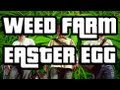 GTA V Weed Farm Easter Egg (GTA5) $100,000 ...
