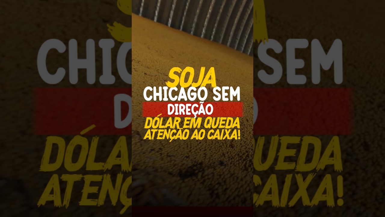 SOJA: CHICAGO SEM DIREÇÃO, DÓLAR EM QUEDA. ATENÇÃO AO CAIXA!