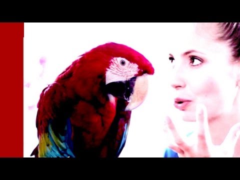 Mit bunten Bildern richtig lernen