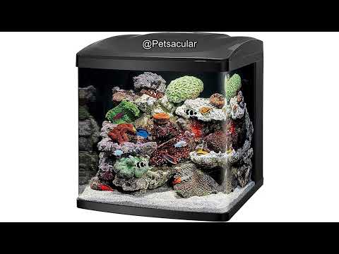Coralife LED BioCube 32 Gallon Aquarium Review: Is It Worth the Investment?