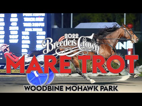 2022 Breeders Crown - Bella Bellini - Mare Trot