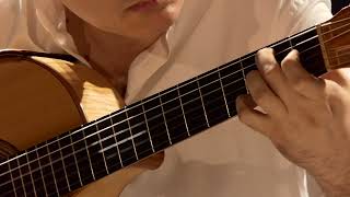 Venezuela-Los Caujaritos, Caballo Viejo, Alma Llanera #FlavioSala chitarra