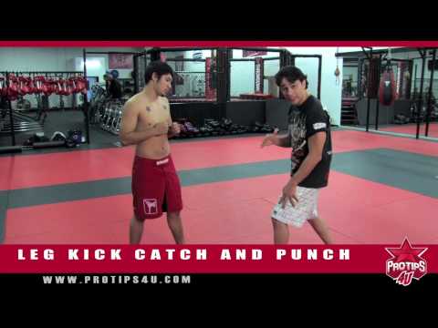 MMA Tips: Leg Kick Catch & Punch with Jose Palacios