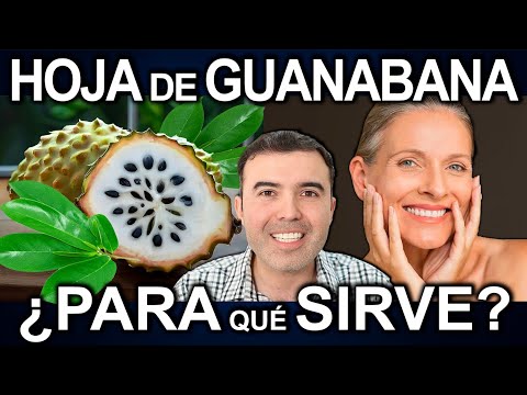 TE DE HOJA DE GUANABANA O GRAVIOLA TODOS LOS DIAS - Para Que Sirve, Beneficios Y Contraindicaciones