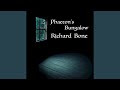 Stars I Have Called Home - Richard Bone - Topic Stars I Have Called Home