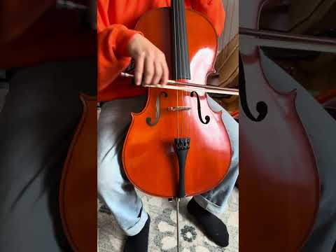 Yamaha VC5-12S 1/2 size Cello - MINT image 18