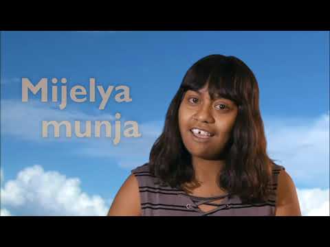 Yimenda Papaguneray - Emily Wurramurra