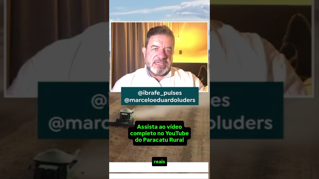 Feijão a R$300? O que Puxou a Alta dos Preços