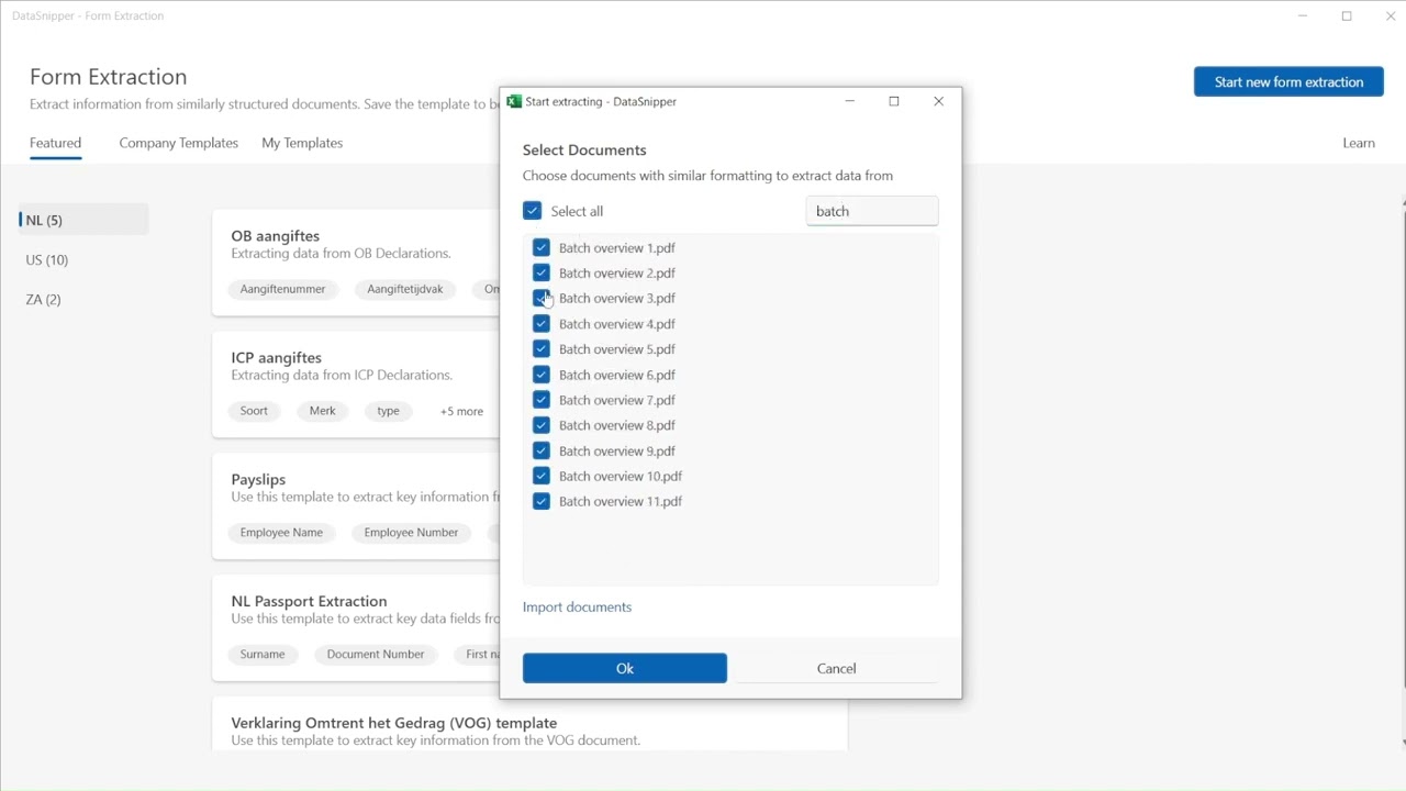 DataSnipper Use Case - Batch Payment Testing