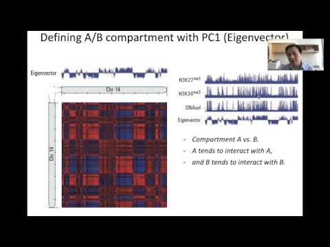 STAT115 Chapter 15.5 Chromatin Compartments