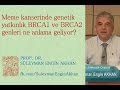 Prof. Dr. Süleyman Engin Akhan Prof. Dr. Süleyman Engin Akhan