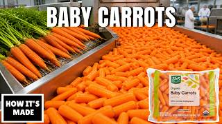 How Baby Carrots Are Really Made - They're Not Actually Baby Carrots