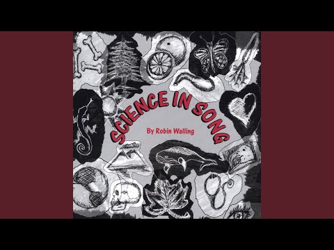 The Muscles Song / Muscular System