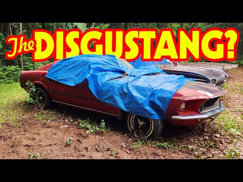 FOUND! SITTING 34 YEARS! REAL MACH 1? #streetfreaksgarage #Mustang #Mach1 #disgustang #roadkill