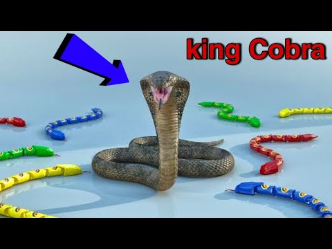 RC Fastest Naja Black King Cobra Unboxing & Testing - Chatpat toy tv