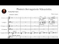 Franz Liszt - Hungarian Fantasy (1852) (René Duchâble}