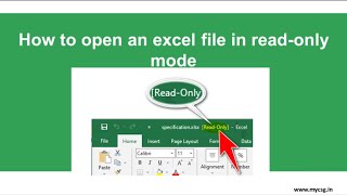 Open an excel file in read-only mode