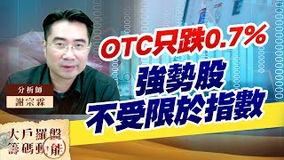 OTC只跌0.7% 強勢股不受限於指數 (圖)