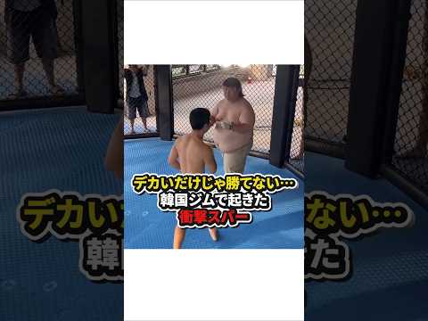 デカいだけじゃ勝てない⋯韓国ジムで起きた衝撃スパーリング　#格闘技
