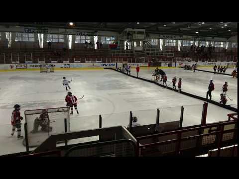 EMHL-HOBA:Vasas Budapest