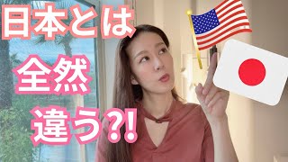 日本人がラスベガスのカジノで働いてみた結果…?!アメリカ企業のリアルな裏側
