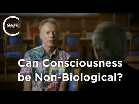 Andy Clark - Can Consciousness be Non-Biological?