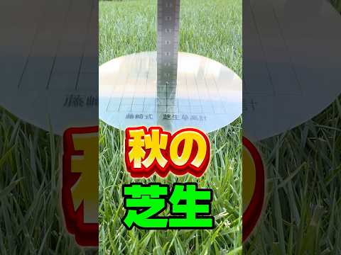 秋のマルチ：どのタイプを選択し、いつどのように適用するか？  庭園