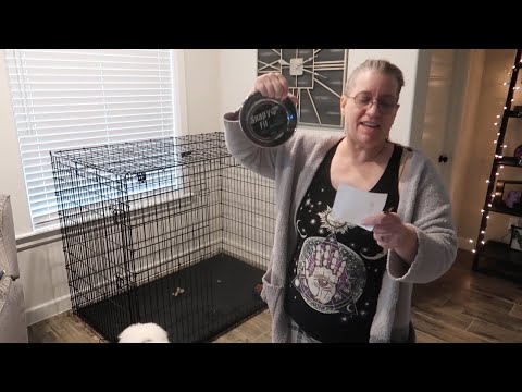 MidWest Homes for Pets Snap'y Fit Stainless Steel Food Bowl Review