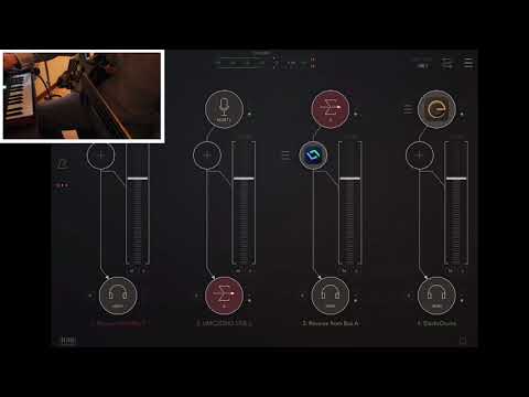 Looper L7 Jam#2 with the bunny