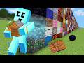 Minecraft But I Place 1 000 000 Blocks