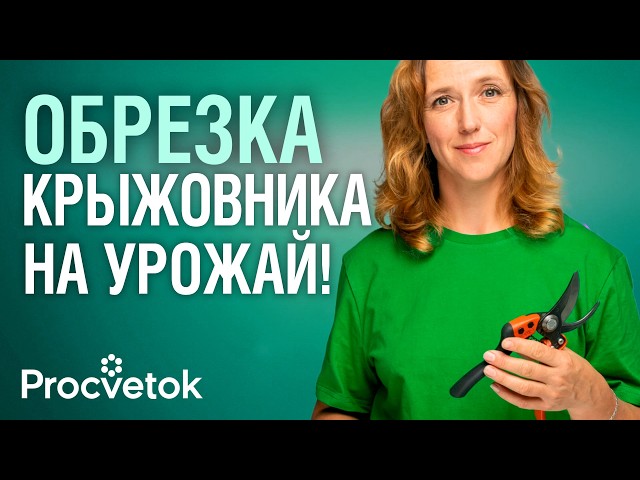 КРЫЖОВНИКА БУДЕТ В 2 РАЗА БОЛЬШЕ при правильной обрезке! Формируем куст крыжовника с биологом