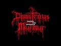 Disastrous Murmur (Austria) - Live 9-27-1989.avi