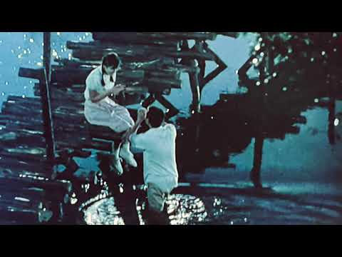 Firefly - OST from the Classic