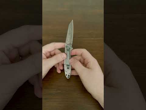 Kershaw 1660 Ken Onion Leek Folding Knife Review