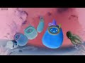 Small Potatoes Theme Song In G Major