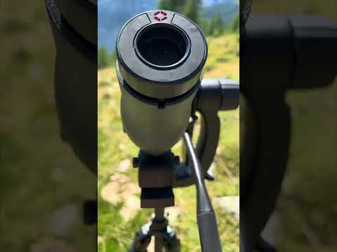Apple Iphone 15 Pro Max ZOOM VS Swarovski ATX 115mm spotting scope zoom + OLLIN COMPARISON #shorts