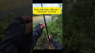 Hậu quả của việc lười kiểm tra dây câu | Sẩy Cá LÓC KHỦNG #câucá #fishing #lure